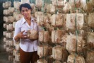 Nữ nông dân thu trăm triệu từ nghề trồng nấm