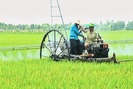 Anh Kỹ sư nông dân sáng chế máy đa năng cho lúa