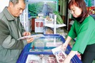 Mô hình thịt lợn sạch từ trang trại đến bàn ăn ở Thái Bình