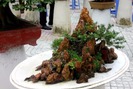 Clip: 100 cây Bonsai độc, lạ hút du khách tại An Giang