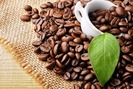 Giá cả thị trường hôm nay (14.5): Dự báo giá cà phê tăng ổn định trong dài hạn