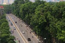 Những con đường xà cừ trước và sau khi vắng bóng cây xanh ở Hà Nội