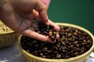 Giá cả thị trường hôm nay (02.6): Giá cà phê sẽ biến động bất thường trong tuần này 