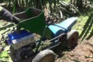 Clip: Máy băm dây thanh long tự chế của nông dân Bình Thuận