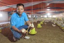 Trang trại chăn nuôi tổng hợp cho lợi nhuận trên 1 tỉ đồng ở Nam Định