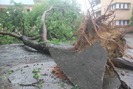 Cảnh tượng đổ nát ở Nghệ An sau 3 giờ vật lộn với bão số 2