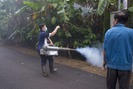 Giải pháp phun khói diệt côn trùng trên vườn ca cao, hiệu quả khác biệt 