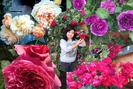 Cận cảnh vườn hoa hồng quý hiếm của người phụ nữ Việt tại Séc