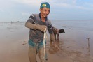 Cao thủ săn cá chình mỡ ở Tiền Giang kiếm tiền triệu mỗi ngày