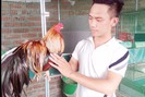 Chàng trai "9x" nuôi gà kiểng trăm triệu trên sân thượng ở Hà Thành