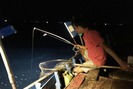 Một đêm theo bạn thuyền câu mực trên biển miền Trung
