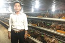 8X Tiền Giang nuôi 330.000 gà trong trang trại xịn như... khách sạn