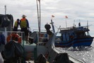 Hải quân cứu hộ thành công 12 ngư dân gặp nạn trên biển