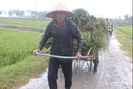 Tin bão khẩn cấp: Siêu bão số 10 áp sát, nông dân hối hả gặt lúa, di dời lồng cá