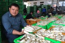 Tự hào nông dân Việt Nam 2017: Giám đốc bắt tay với 1.000 nông hộ, tạo doanh thu 1 tỉ/ngày