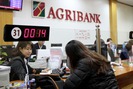 Agribank tiên phong giảm lãi suất, hỗ trợ chi phí cho khách hàng