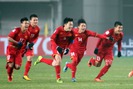Tâm thư của một giáo viên trẻ dạy tiếng Anh gửi HLV Park Hang Seo và đội tuyển U23 Việt Nam