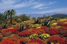 Chiêm ngưỡng 6 vườn hoa đẹp nhất thế giới