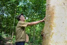 Chuyện về ông lão người Dao hơn 40 năm trồng khu rừng tiền tỷ