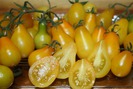 Những giống cà chua độc lạ “mê hoặc” bà nội trợ Việt