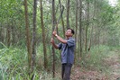 Agribank giúp nông dân “đất lửa” Quảng Trị thoát nghèo