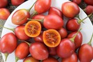 Cà chua thân gỗ “gây sốt” một thời bây giờ ra sao?