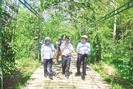 Vườn mẫu “trăm triệu” ở Hà Tĩnh