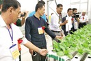 “Siêu” nông dân trải nghiệm làm nông nghiệp công nghệ cao