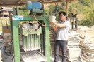 Những nông dân trẻ năng động ở Sơn La