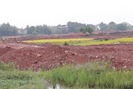 SỐC: Dự án Khu đô thị Kosy Bắc Giang: “Vượt rào” rao bán cả đất ruộng?
