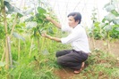 Người trồng rau Bắc Ninh “phất lên” nhờ vốn quỹ