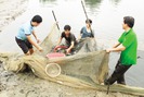 Quỹ Hội giúp nông dân Hải Dương "sống khỏe"