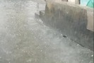 Clip: Xuất hiện mưa đá hiếm gặp ngày đầu năm ở Nghệ An
