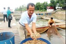 Người đi qua "cơn mê", khởi nghiệp nuôi cá trở thành tỷ phú nông dân