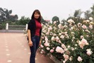 Sở hữu vườn hồng "cả trời yêu thương", mẹ 7x ở Thủ đô chia sẻ 4 mẹo cực dễ để có hoa đẹp