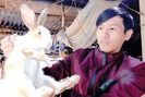 “Hot boy” xứ Quảng kiếm trăm triệu từ nuôi giống thỏ lai