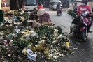 Hàng tấn hoa bị vứt sau ngày 8/3, người dân tiếc rẻ mang về chưng