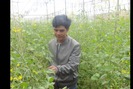 Trang trại rau hữu cơ từ vườn tới bàn ăn thành công ở Lâm Đồng