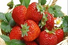 Mỹ bất ngờ công bố 11 loại rau quả nằm trong trong "danh sách đen" về thuốc bảo vệ thực vật