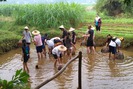 “Mỏ vàng” du lịch nông nghiệp Việt chờ khai phá