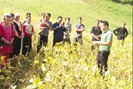 Hiệu quả mô hình trồng đậu tương ở Sá Tổng