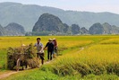 “Làn gió mới” cho tam nông