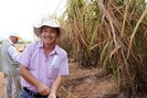 Khi các tỷ phú Việt đua nhau làm “nông dân”