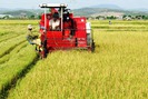 Agribank hợp tác hỗ trợ lãi suất 5 năm cho nông dân cơ giới hoá nông nghiệp