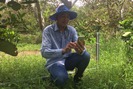 Nông dân 4.0 “ôm” điện thoại và thu lợi nhuận khủng