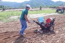 Chàng nông dân Đà thành tự sáng chế thành công máy gieo hạt đem lại hiệu quả kinh tế cao