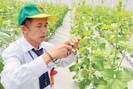 Cùng nông dân khám phá "đại bản doanh" trồng rau công nghệ cao