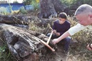 Ngỡ ngàng hơn 66 tỷ đồng khúc gỗ xấu xí vứt ngoài vườn, 5 năm sau mới biết là kho báu