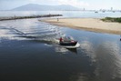 Gần 4 km bờ biển Đà Nẵng nước đen ngòm sau Tết Nguyên đán Kỷ Hợi