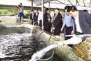 Trại cá nước lạnh VietGAP đầu tiên ở miền biên ải